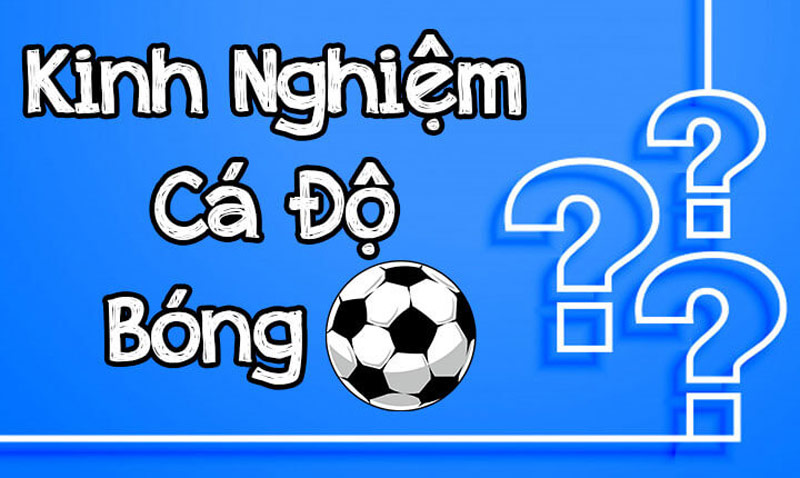 Kinh nghiệm soi kèo chính xác